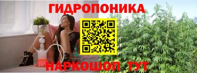 ГАЛЛЮЦИНОГЕННЫЕ ГРИБЫ Обь
