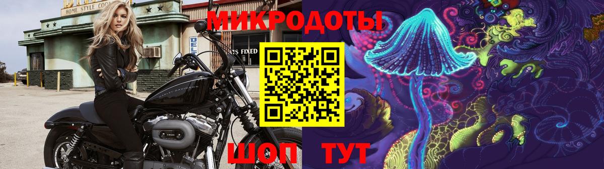 Псилоцибиновые грибы Psilocybe  Вход с VPN  Семёнов 